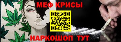 бошки Кингисепп