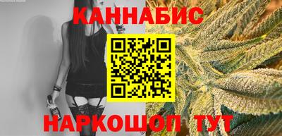 бошки Кингисепп