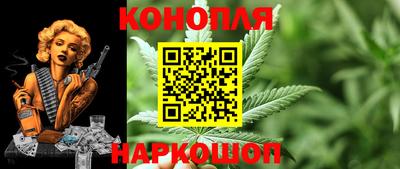 бошки Кингисепп