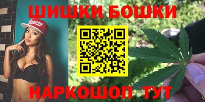 бошки Кингисепп
