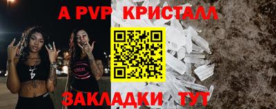 бошки Кингисепп