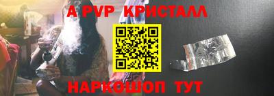 бошки Кингисепп