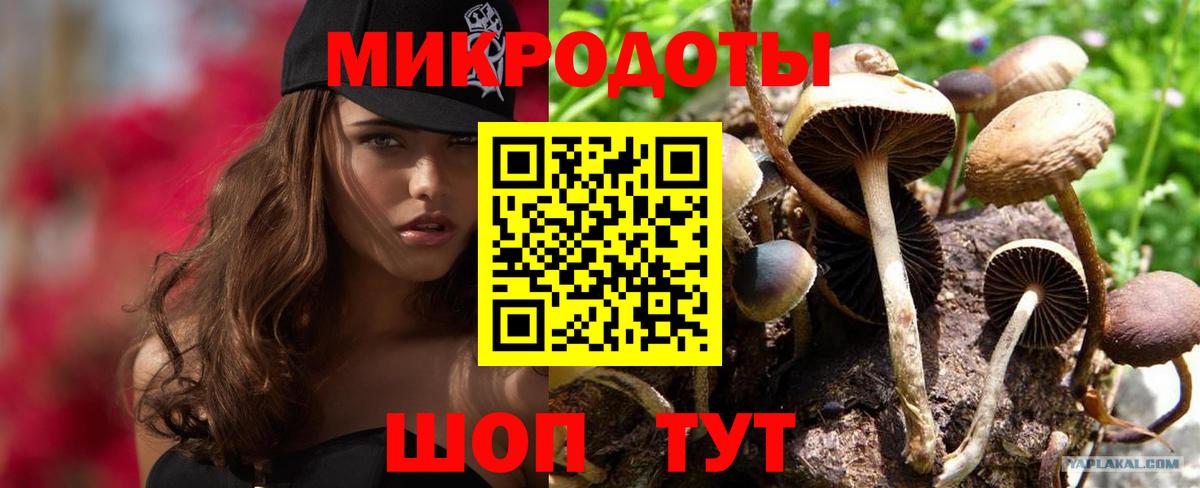Галлюциногенные грибы Magic Shrooms  Вход с VPN  Псилоцибиновые грибы Psilocybe  Ленинск-Кузнецкий 